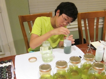 Algae cultivation, help from LSC-Montgomery Biotechnology Lab leads College Park student to science award