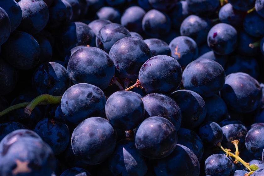 Road Trip Ideas: Berry-picking that’ll leave you black and blue in the best way