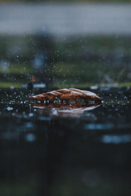 UPDATED – San Jacinto River Authority releases rainfall outlook