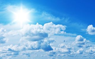 Woodlands Weekend Weather and Wonderful Ways to Welcome the Warmth