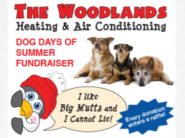 The Woodlands Heating & Air Conditioning on a mission to reduce amount of homeless pets