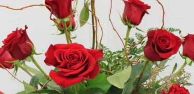 Roses for Valentine's Day have special significance