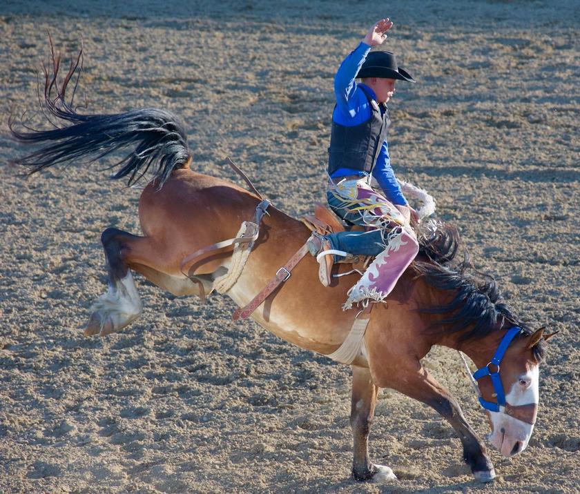 American Red Cross offers safety tips for Houston Rodeo