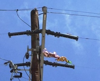 Mylar Balloons Can Cause Power Outages