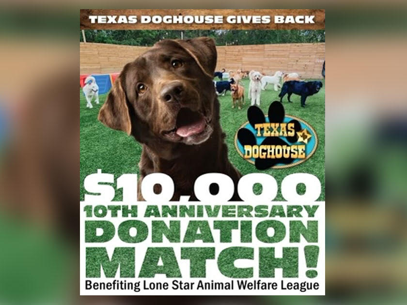 Texas Doghouse's 10 year anniversary in Montgomery County; Celebrates by supporting local spay/neuter & wellness services for low-income pet parents
