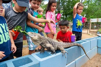 The Learning Zoo announces new weekend hours
