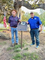 McDade Magnolia Tree Recognized as Historic