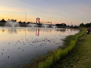 Flowers on the Lake 2025: Bringing Awareness to Domestic Violence