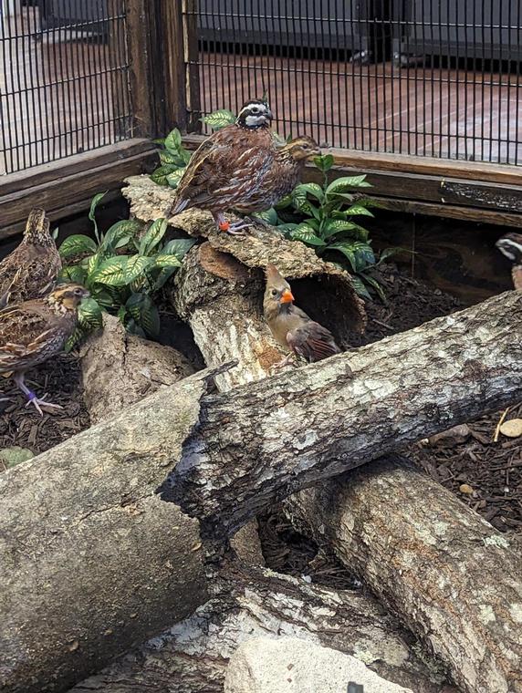 The Spring Creek Greenway Nature Center is creating a bird-friendly haven in Montgomery County