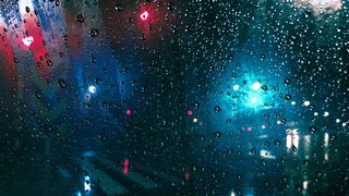 What and where on a wet Woodlands weekend