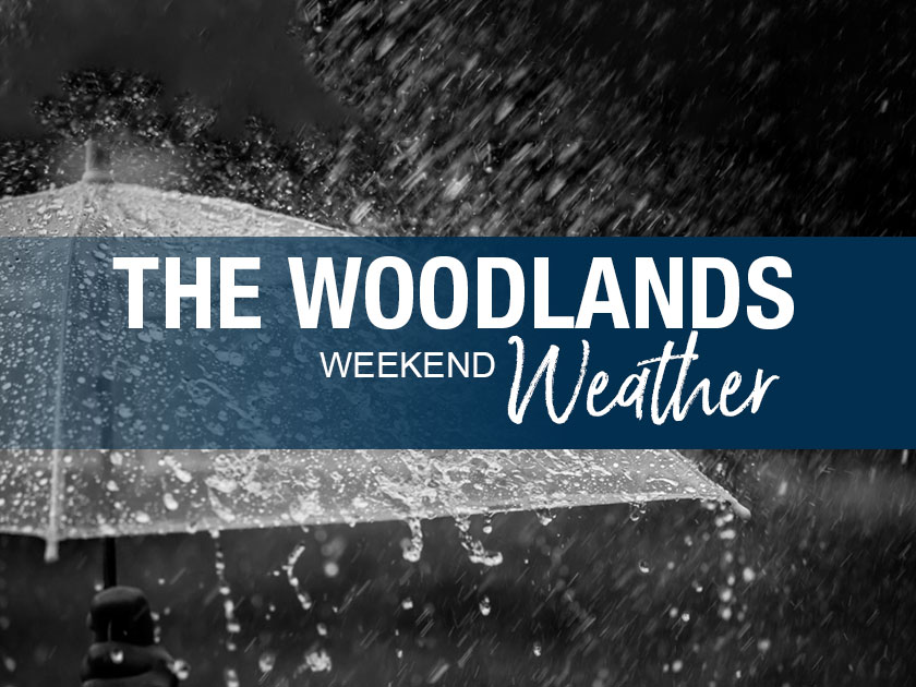 WOODLANDS WEEKEND WEATHER – 50 Hours of Shades of Grey