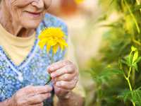 Spring Health Tips For Older Adults