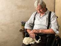 Seniors And Pets: What Are The Surprising Benefits?