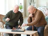 Engaging Activities For Seniors In Assisted Living