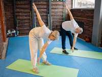 Exploring Physical Activity In Assisted Living Residences