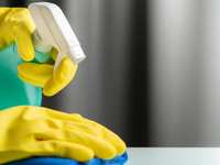 7 Steps to Take After a Virus Has Hit Your Home