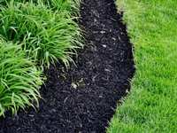 The Wonderful World of Soil and Plants #228