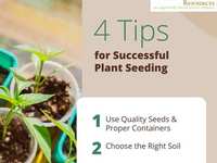 Seed Starting 101: Grow Strong, Healthy Plants with Confidence!