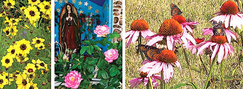 Lazy Gardener & Friends for June 3, 2019