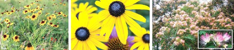 Lazy Gardener May 10: Memories, Fire Ants and Enabling Gardens