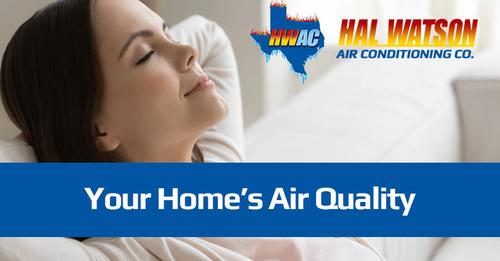 Allergy Season & Your Home’s Air Quality