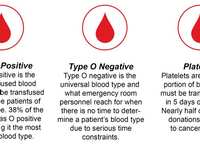 Why Is Blood Donation Important?