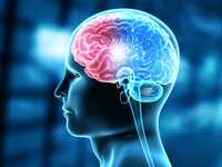 Concussion Injuries Can Show Up Decades Later