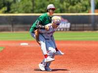 13-6A Postseason: Baseball and Softball Teams Thrive in the Playoffs Following Strong Performances