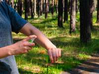 Is DEET Bad for You? (& 4 More Questions About Bug Spray, Answered)