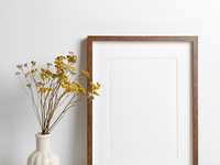 Practical Housewarming Gifts for New Home Buyers