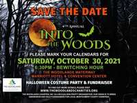 Save The Date - 4th Annual Into The Woods