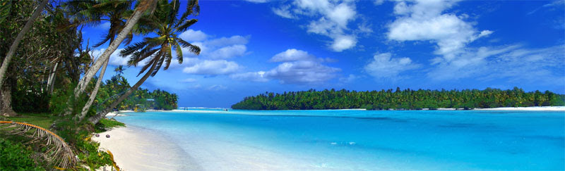Promotions with Fox Travel