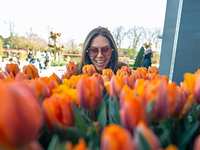 Tulips, Windmills and Easy River Cruising with AmaWaterways