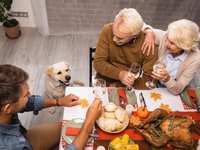 Thanksgiving: Protecting Your K9 It may be sweet, but not for your dog
