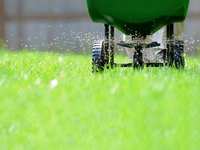 Top 10 Mistakes Gardeners Make