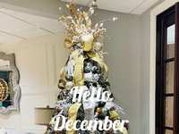 Classes Next Week and Upcoming Events (December 12th - 16)