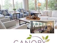 Next Week at Canopy: February 2026 Classes, Programs & Support for Cancer Survivors