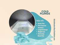 Cold Plunge: Shock Your System, Supercharge Your Health