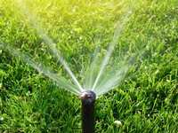 Lawn Care & Watering for All Seasons