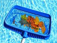 Proper Pool Care During The Fall