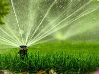 Make Sure Your Lawn Stays Beautiful with These Summer Irrigation Tips
