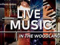 Live Music in The Woodlands – March 27 - 30, 2025