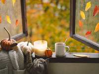 Schedule a Fall Heat Pump Tune-Up Today in Montgomery, TX