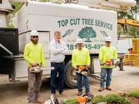 Mastering Tree Care for Any Season