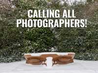 Winter in The Woodlands Photography Contest