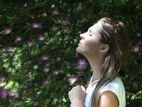 Reset Your Nervous System With 9D Breathwork Reset Your Nervous System With 9D Breathwork