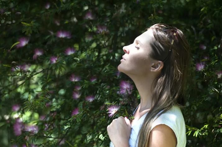 Reset Your Nervous System With 9D Breathwork Reset Your Nervous System With 9D Breathwork