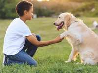 Mental Health Awareness Month: Prioritizing Pet Wellness