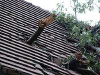 Choosing Wisely: Navigating Conroe Roofing Companies