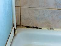 How to Prevent Mold and Mildew in Your Home